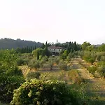 Podere Il Cardellino