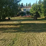 Podere Il Cardellino