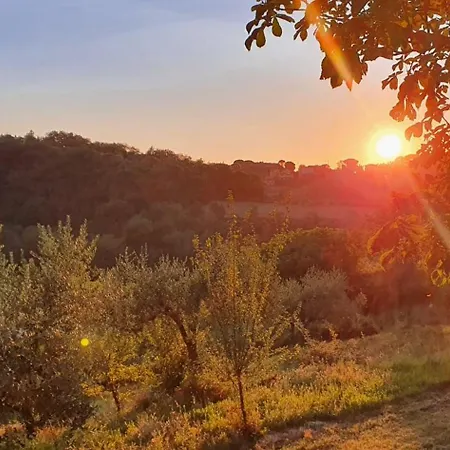 شقة Podere Il Cardellino *